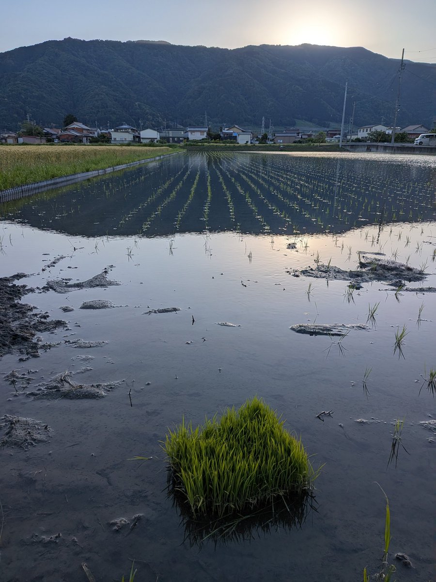 陽路（ヒロ） tweet media