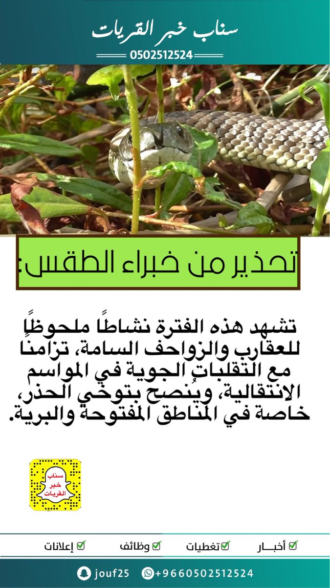 تحذير من خبراء الطقس:

تشهد هذه الفترة نشاطًا ملحوظًا للعقارب والزواحف السامة، تزامنًا مع التقلبات الجوية في المواسم الانتقالية، ويُنصح بتوخي الحذر، خاصة في المناطق المفتوحة والبرية.

-