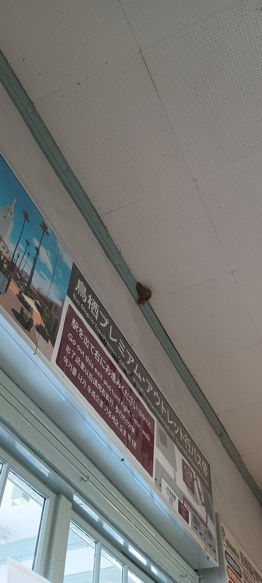 じん tweet media