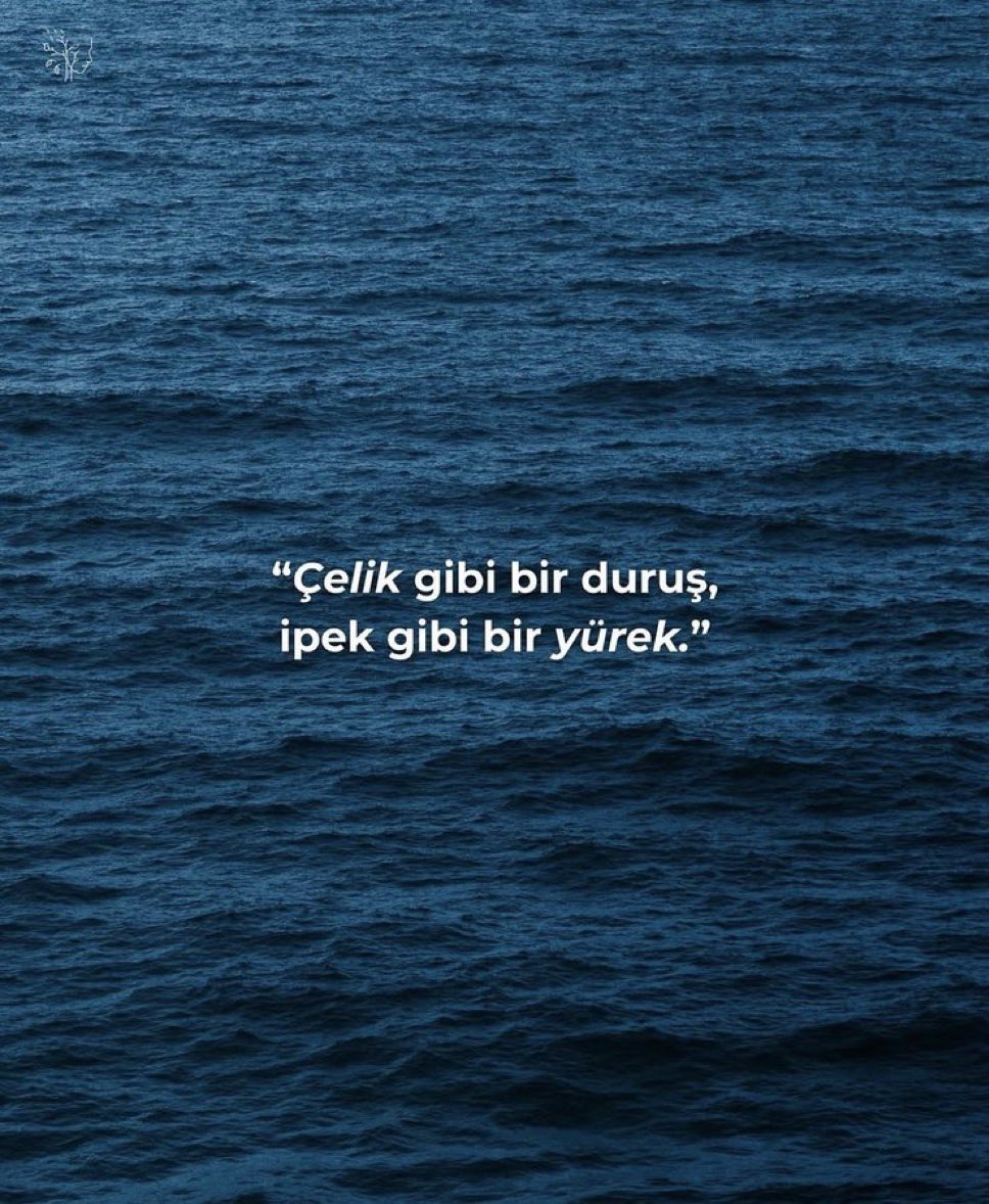 King Terapist tweet media