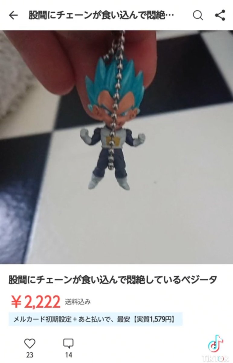 専用出品です(*´꒳`*) チェーンだけお譲りいただけませんか？