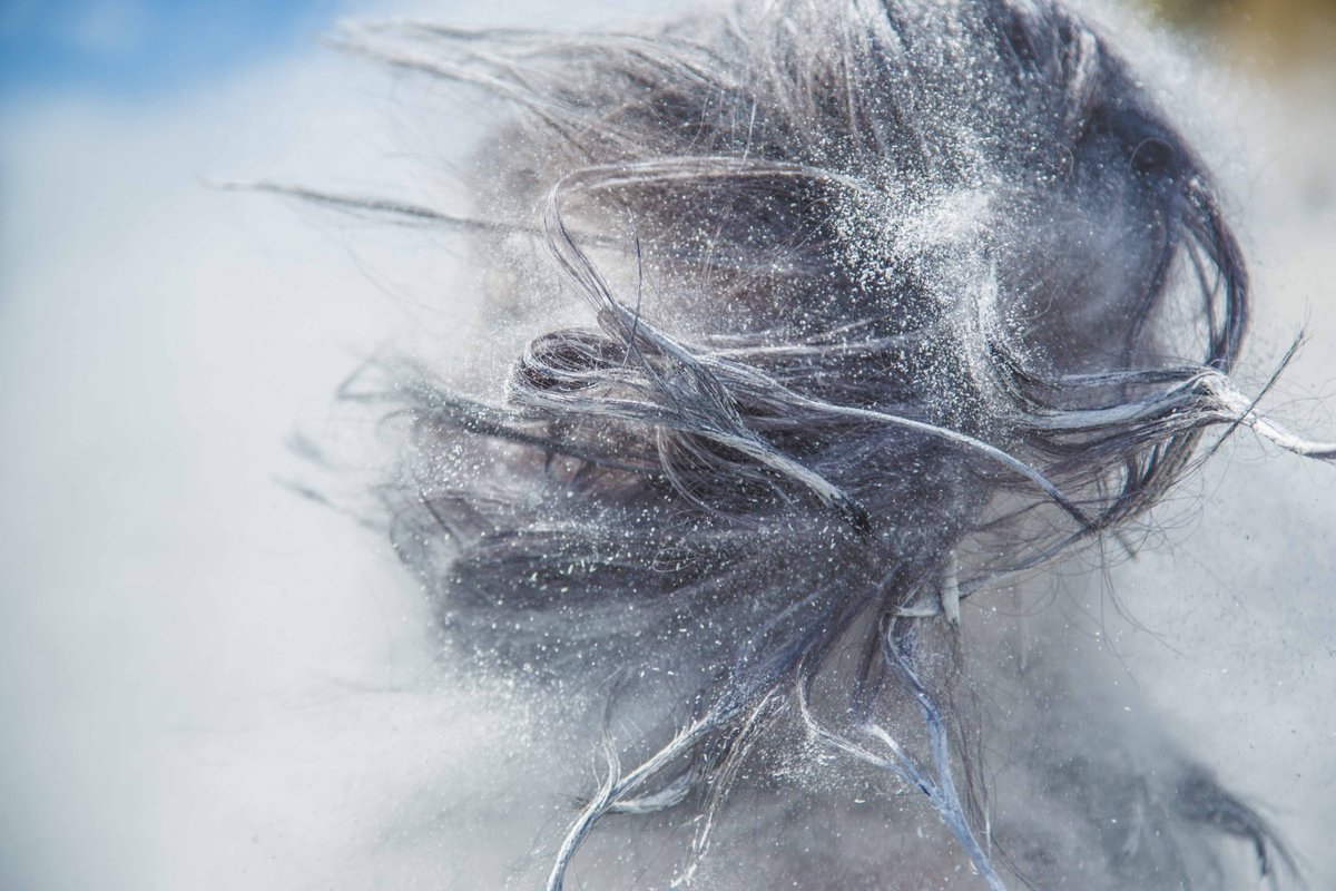 EB_Education_'s tweet image. Did you know that in 1795 a tax for wearing hair powder was introduced in Great Britain?!

For help revising #GCSE #history
buff.ly/25yfGEw 

#TuesdayTrivia #hardworkpaysoff #learning #GCSEs2026 #achieve #achieveevenbetter