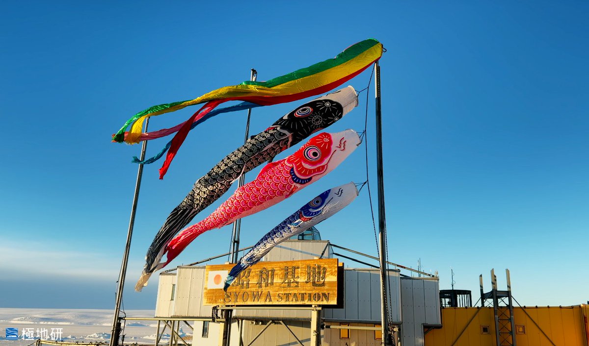 kyokuchiken's tweet image. 【極地研アーカイブ 】
昭和基地から鯉のぼりの写真が届きました！お子さまの健やかな成長と皆様のご多幸を心よりお祈り申し上げます🎏 #こどもの日