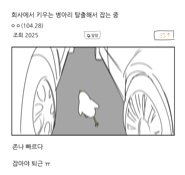 판소새벽 tweet media