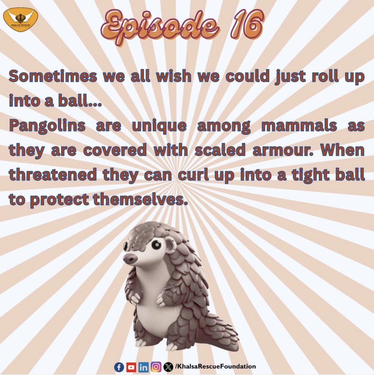 KhalsaRescue's tweet photo. 🌟 *Episode 16: The Amazing Pangolin!* 🌟 

Sometimes we all wish we could just roll up into a ball… 🐾 

Did you know that pangolins are unique among mammals? 

They’re covered in scaled armor, and when threatened, they can curl up into a tight ball to protect themselves! 

Let’s celebrate these incredible creatures and spread the word about their amazing adaptations. 💖

#PangolinPower #WildlifeAwareness #NatureLovers #AnimalFacts #SaveThePangolins #KhalasaRescue #SuperAnimalSeries