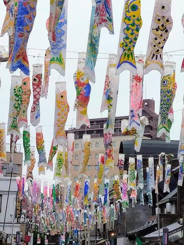 hirorin55's tweet image. ルネッサンス様式の

洋館と鯉のぼり。

パルテノン神殿を

彷彿させる洋館と

重厚な蔵造りの店蔵。

歴史の重みに

街角の花手水が

彩りを添える。

和洋折衷が

不思議と調和する

城下町川越。　

＃backnumber
＃archives