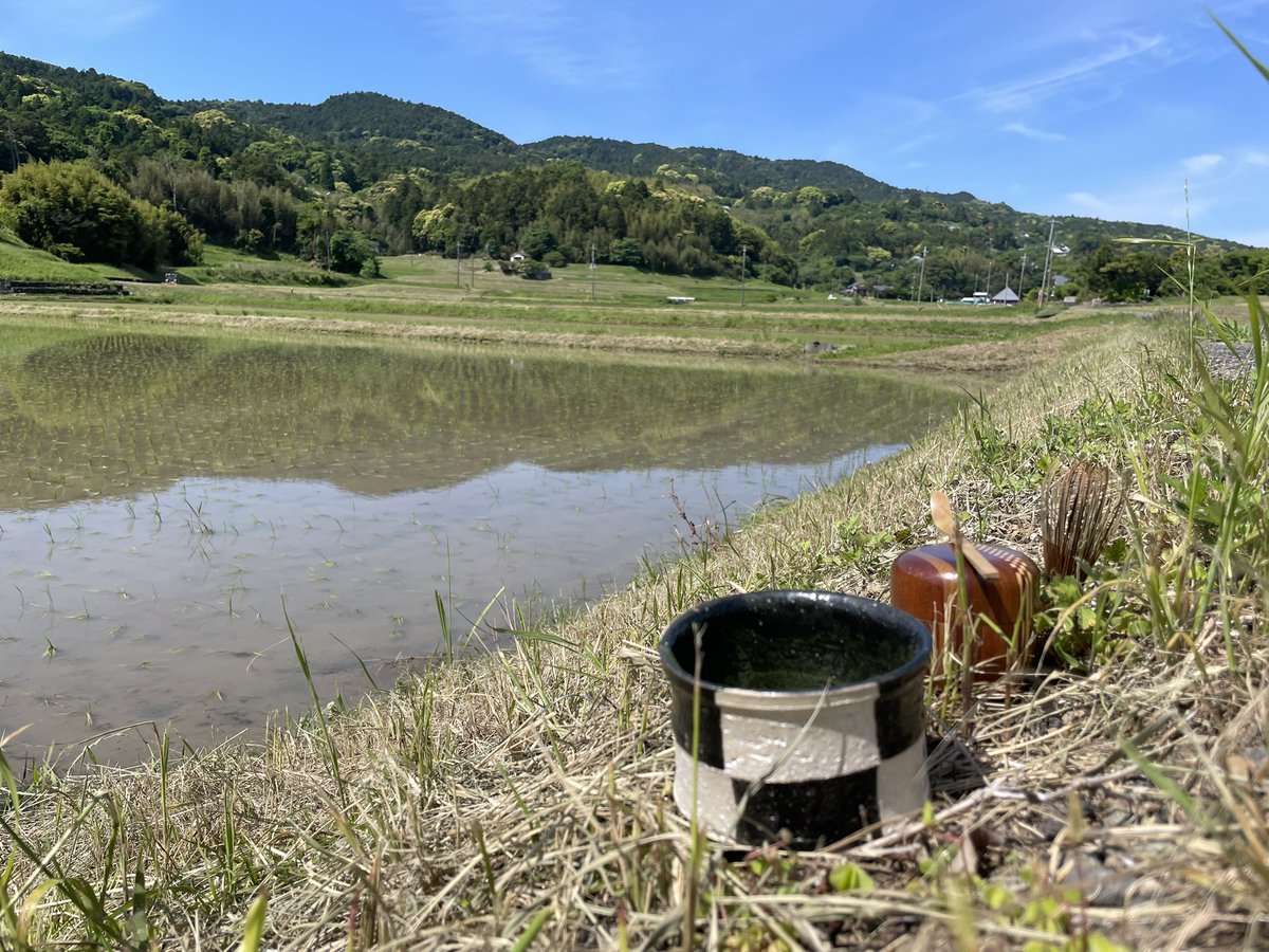 地元はのどかである…😌
昨日よりは風も落ち着いていたので、田んぼの横でお茶などする。
向こうのほうでは田植え機動いてるし、農家は休みなしで大変だよなあ。ありがたやありがたや🌾

帰る前に山の竹藪でお土産用の青竹を切り出す。蓋置にしよう😇

#茶道　#野点