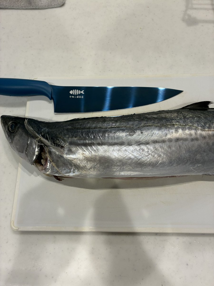 先週釣ったサゴシはサゴシ南蛮へ