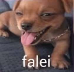 qualquercoisa tweet media