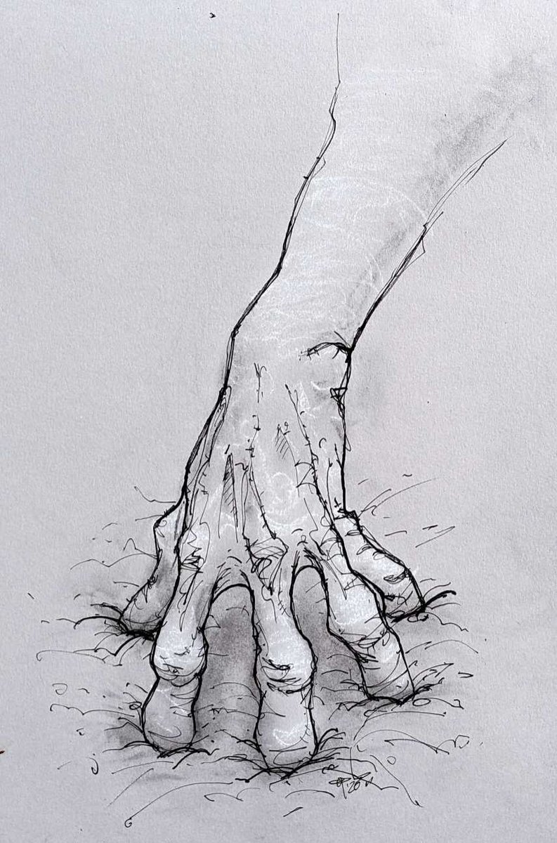 oplo_ink's tweet photo. Roots.. #hand #nature #illustration #ink #art https://t.co/k91d2val3b