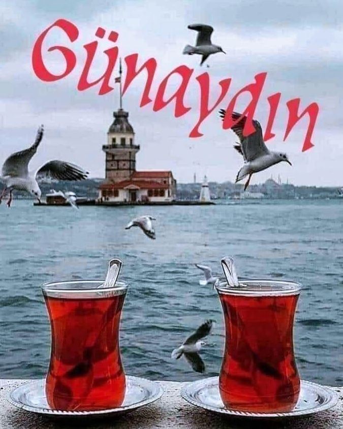 Süleyman Durna tweet media