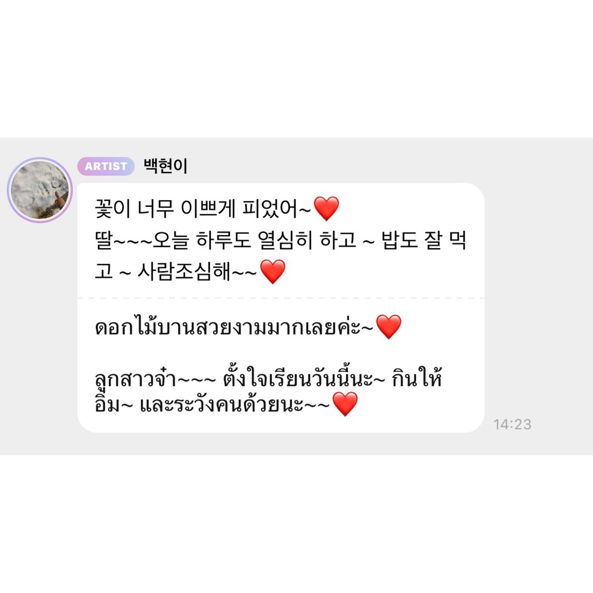 🫧ᴍʏ ɴᴏɴɢ ʙᴀᴇᴋ 🐶🐯🦖🦌🐥🐧🐻🐰🐱🐏 tweet media