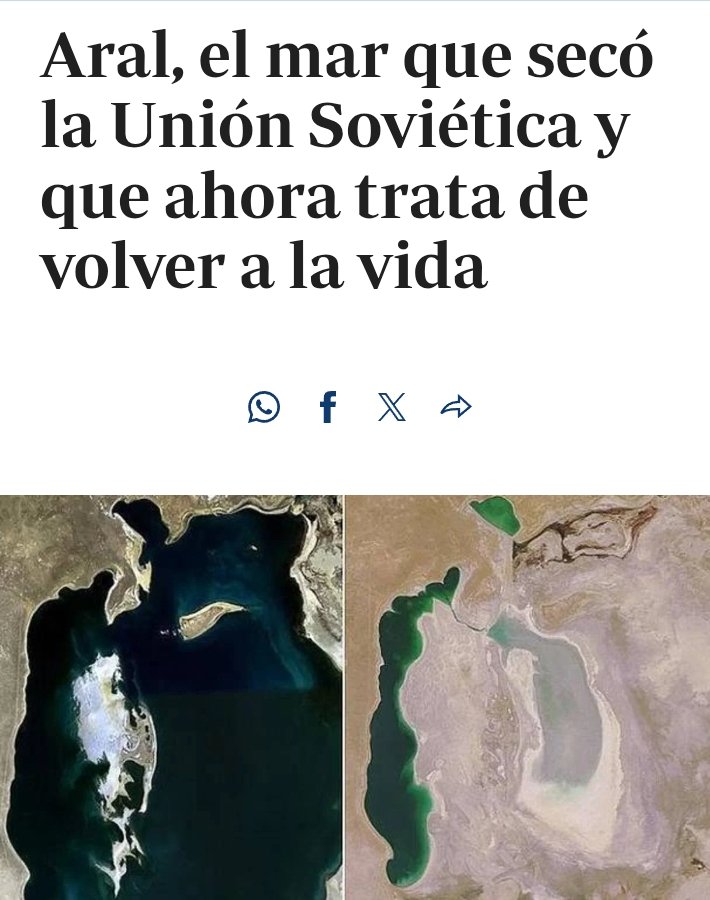 Toca Pelotillas tweet media
