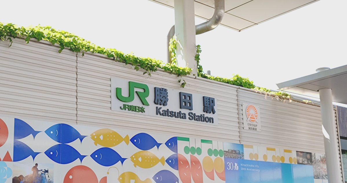 チャリで来た🚲️