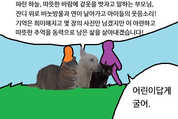 🐻‍❄️웅이🐻‍❄️ tweet media