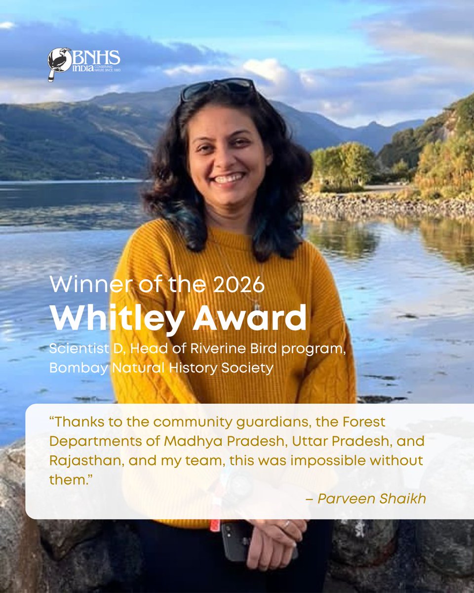 BNHSIndia's tweet photo. A proud moment for the Bombay Natural History Society.
Parveen Shaikh, Scientist D, Head of Riverine Bird program at BNHS, has been awarded the 2026 Whitley Award for her work in protecting the endangered Indian Skimmer.
#BNHS #WhitleyAward #IndianSkimmer #CommunityConservation https://t.co/sdISx3mSyc
