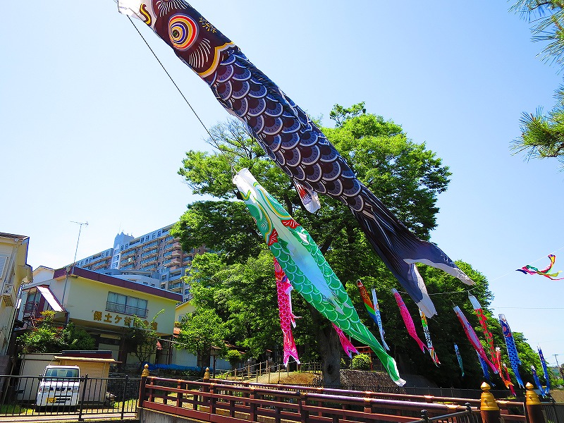 _moritaya's tweet photo. 今日の散歩の様子。

鯉のぼり🎏が、気持ちよさそうに泳いでいました。 https://t.co/xebsGGs0lV