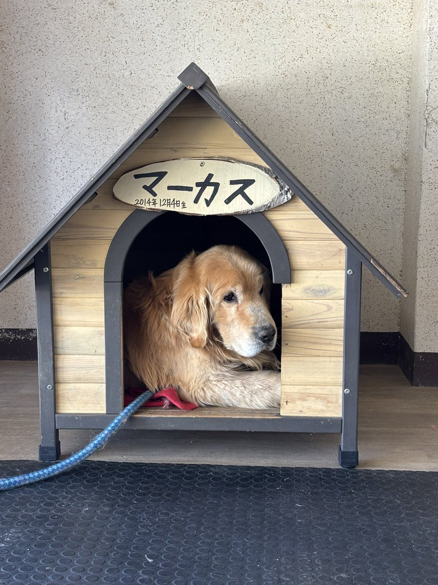 tm7235's tweet photo. 距離短いけど万座温泉温泉から渋峠ホテルまで登った！
手作りアップルパイうまぁ
 #渋峠ホテル https://t.co/w0P52q4xq5