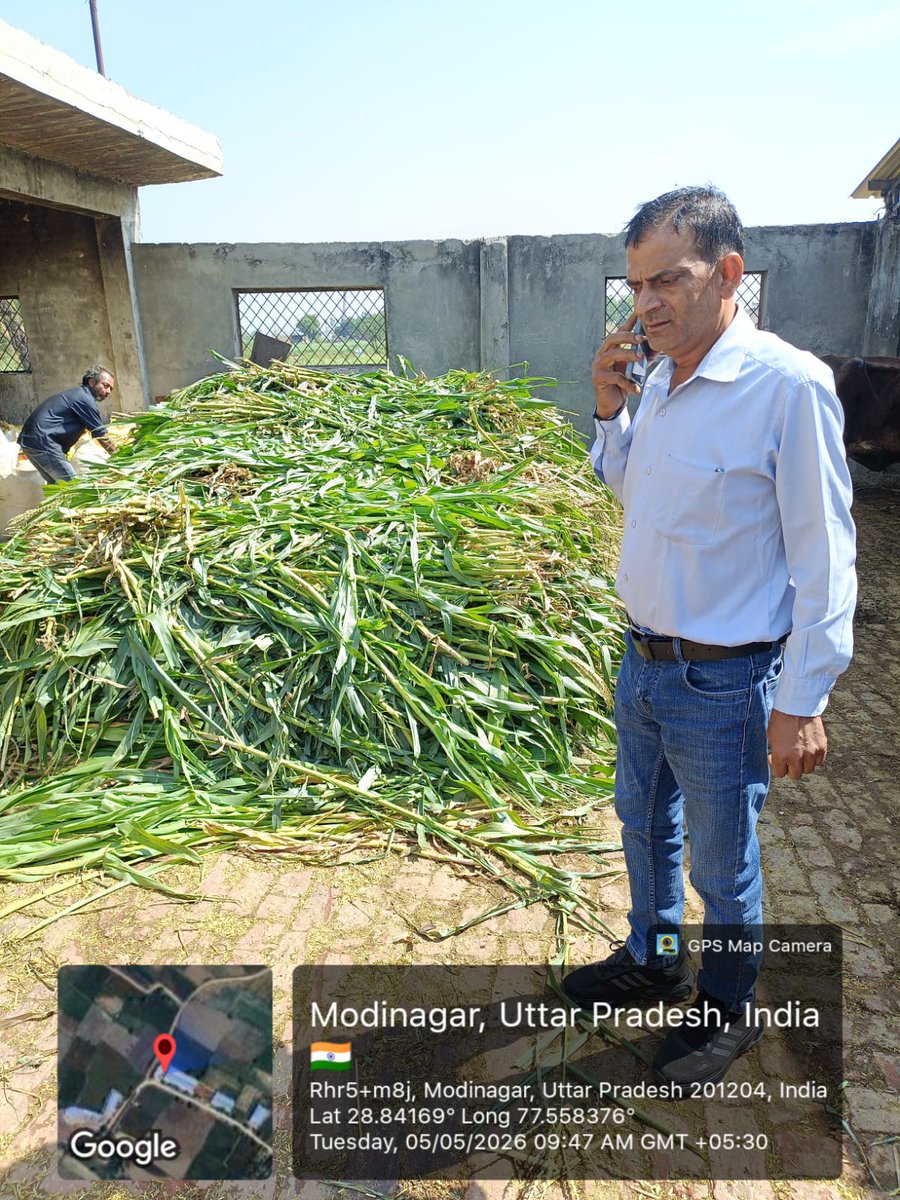 ModinagarNagar's tweet image. 🐄🧹 साफ-सफाई व व्यवस्था का निरीक्षण!
वार्ड नंबर 15 (सभासद श्रीमती पूजा सिंह जी) के संजय पुरी स्थित गौशाला में चारा व्यवस्था एवं साफ-सफाई व्यवस्था का निरीक्षण नगर पालिका अधिकारी श्री दिनेश कुमार जी द्वारा किया गया 👍
#SwachhBharat #Modinagar #CleanCity 🐄🇮🇳