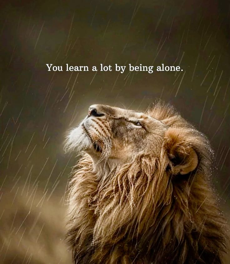 OnyemeAbel's tweet photo. https://t.co/PvSuCyyHy1