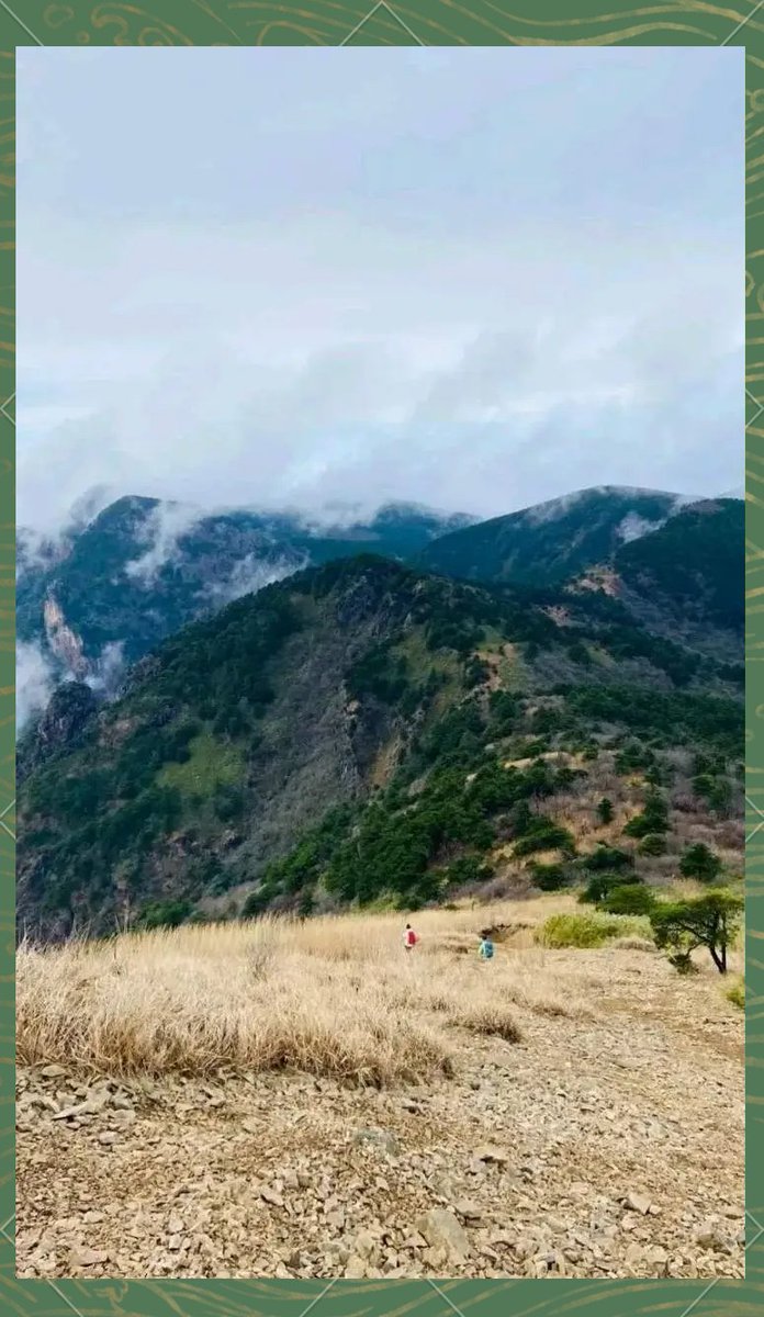 IlianaPeace's tweet image. Morning hike to the misty hills + afternoon picnic by the lake = perfect weekend escape!  #NatureLovers #WeekendVibes