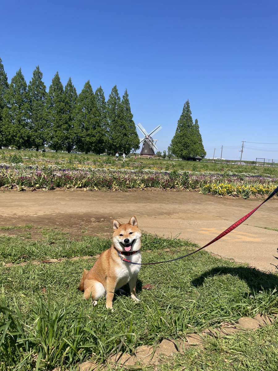 etsusho tweet media