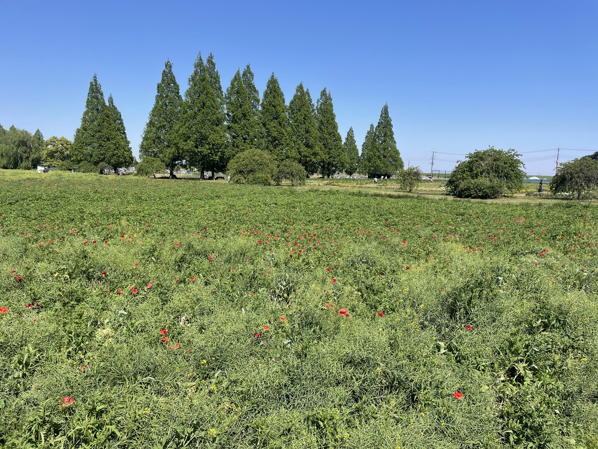 etsusho tweet media