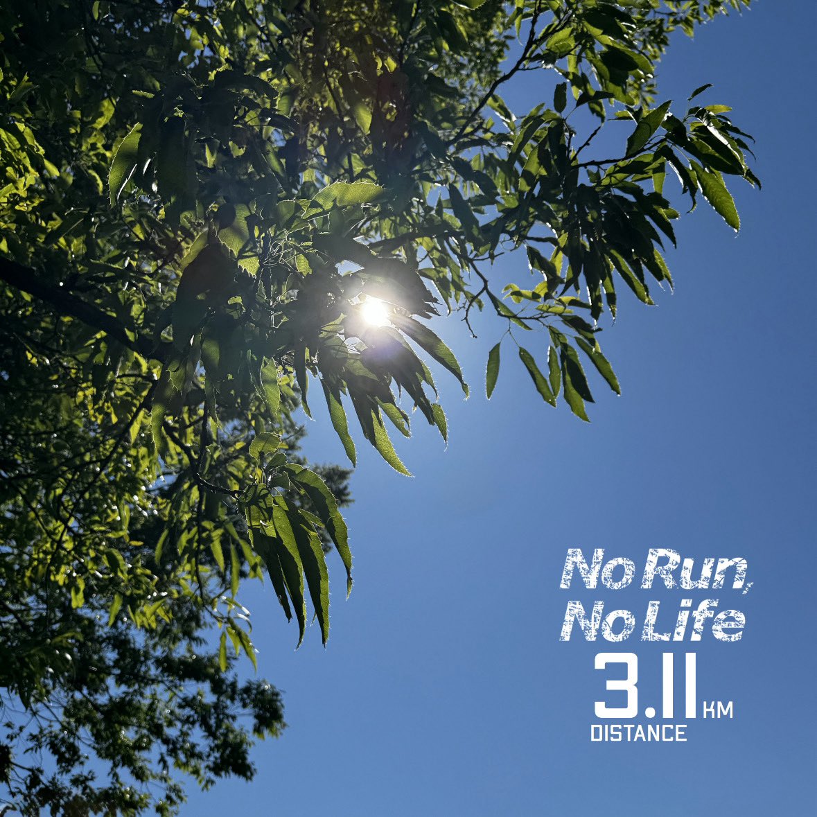 pheasantbeak's tweet image. 【ランニング日記】

夏のように太陽が明るく最高の天気なのでちょっとだけ行ってきました🏃‍♂️

暑いけど湿度が低めで気持ちよく外に出ない理由がない😁

柘榴の花がかわいい😊

👟ナイキ エアズームペガサス39

#ランニング #ジョギング #ウォーキング 
#runtrip #ナイキ