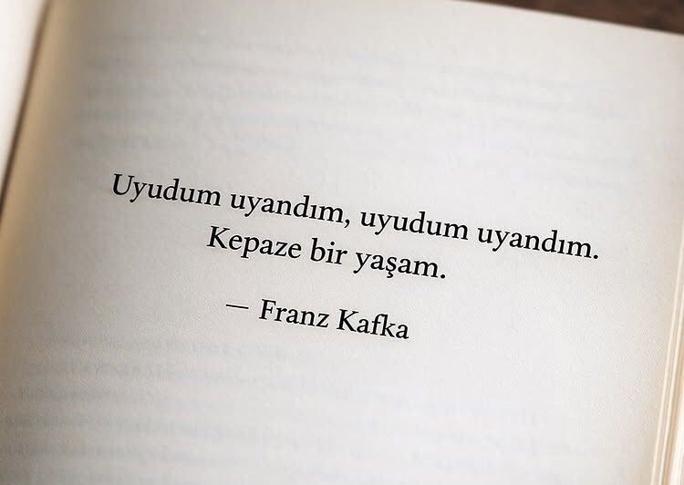 Birkan Serçe tweet media
