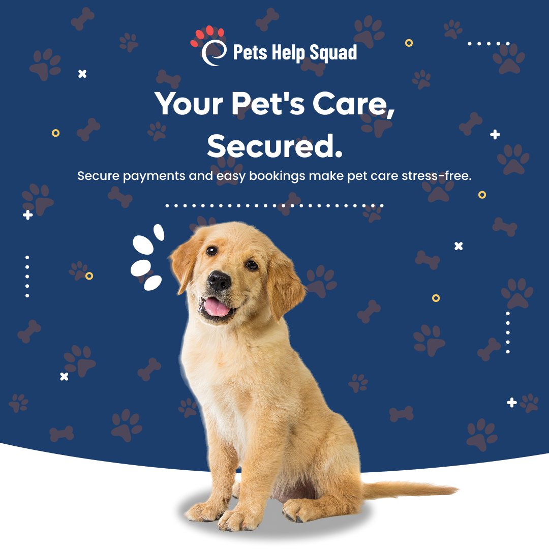 Petsinsync's tweet photo. Secure payments and easy bookings make pet care stress-free.
#SafePayments #EasyUse #PetPlatform #PetsHelpSquad https://t.co/sjNOB007eW