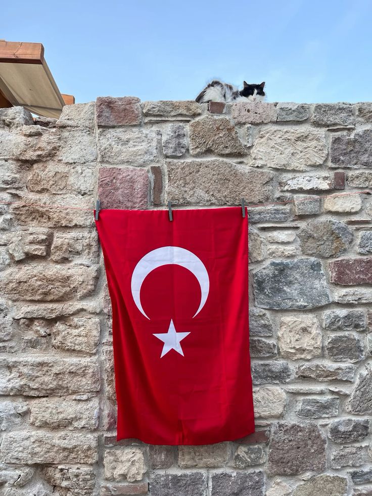 Güntülü 🇹🇷͜͜͡͡✯ tweet media