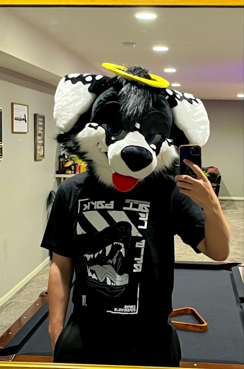 Angel Dog Alis 🔜 DenFur tweet media