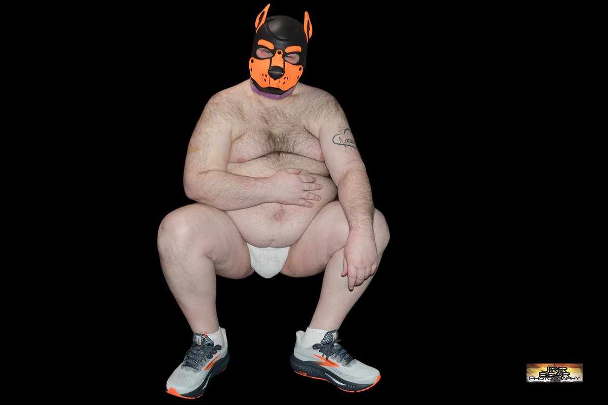 JRRBearPhotography tweet media