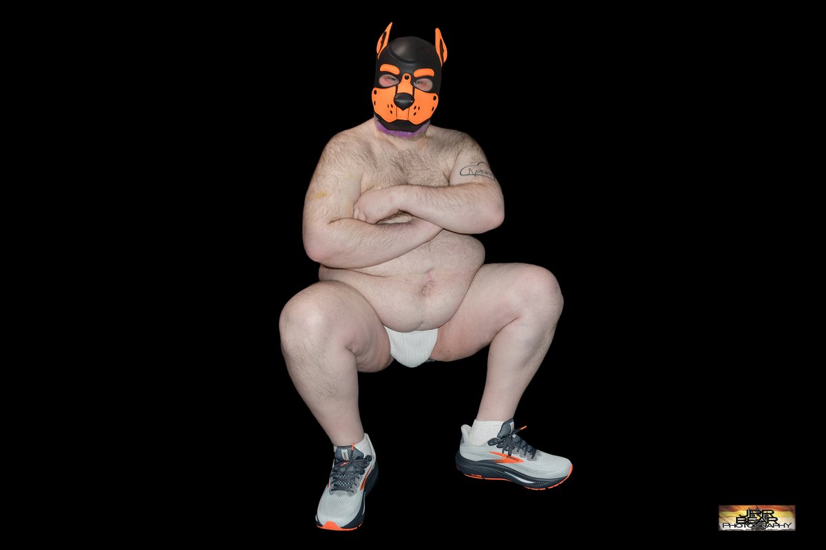 JRRBearPhotography tweet media