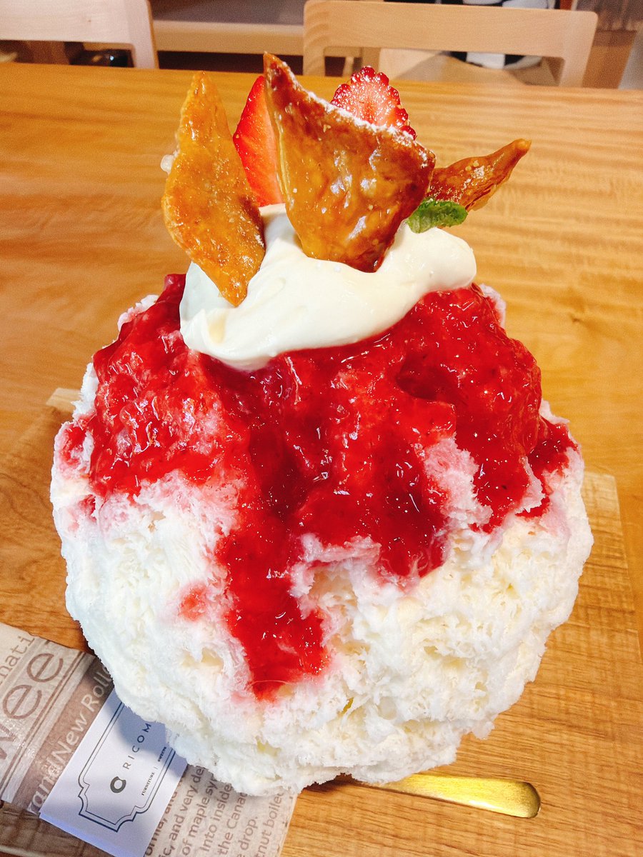 豆玉 tweet media