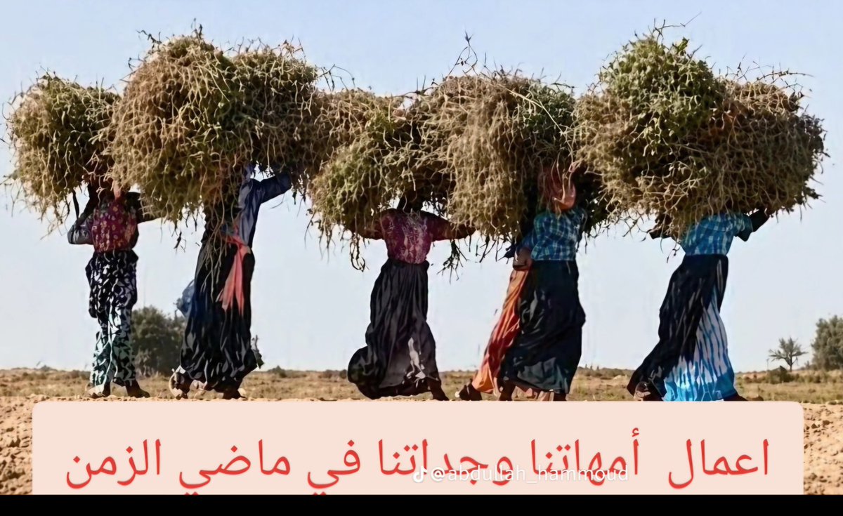 عبدالله لافي الخريصي tweet media