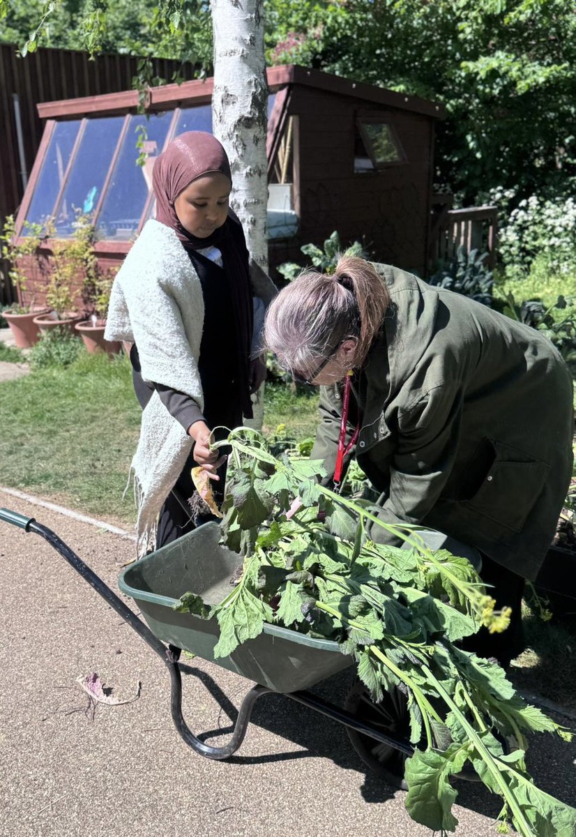 Haringey Learning Partnership tweet media
