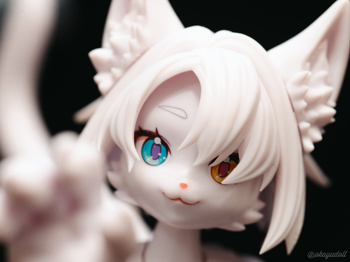 おかゆ🥣 tweet media