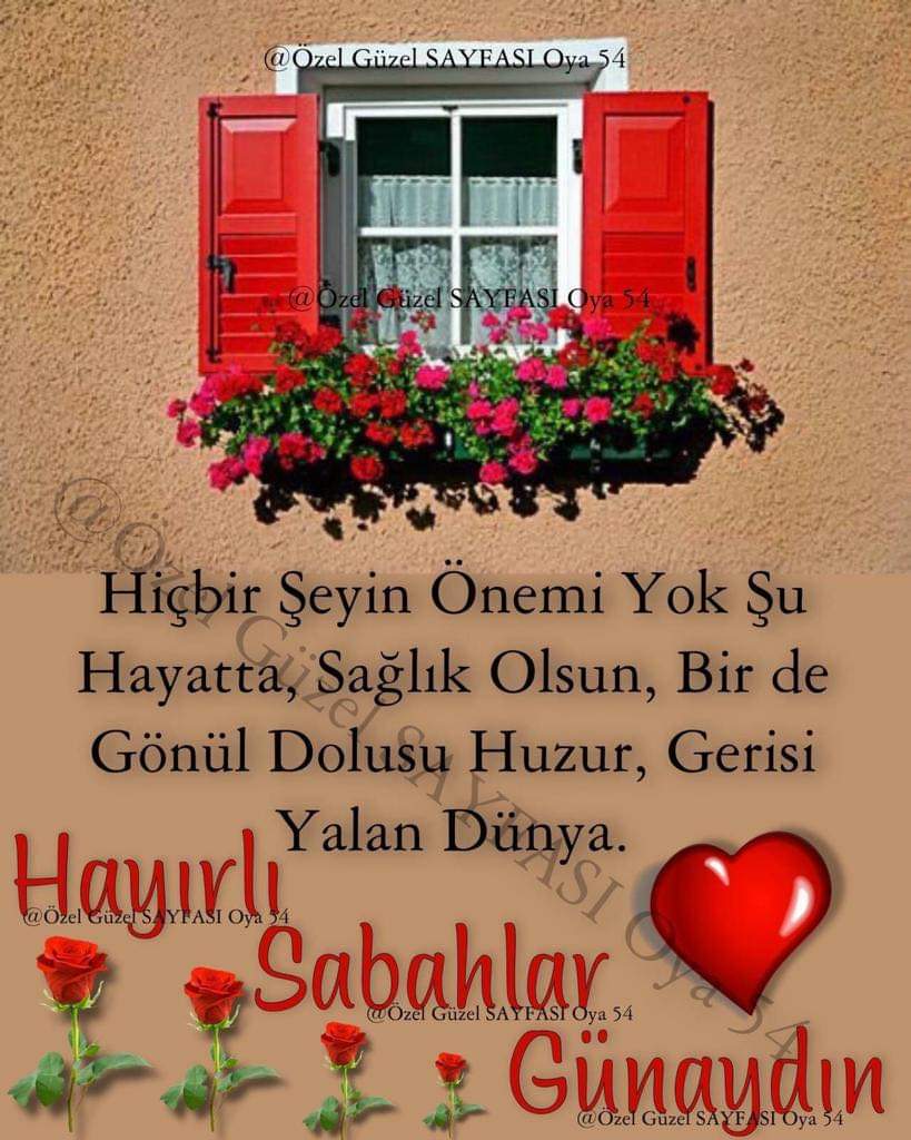 E.Turan tweet media