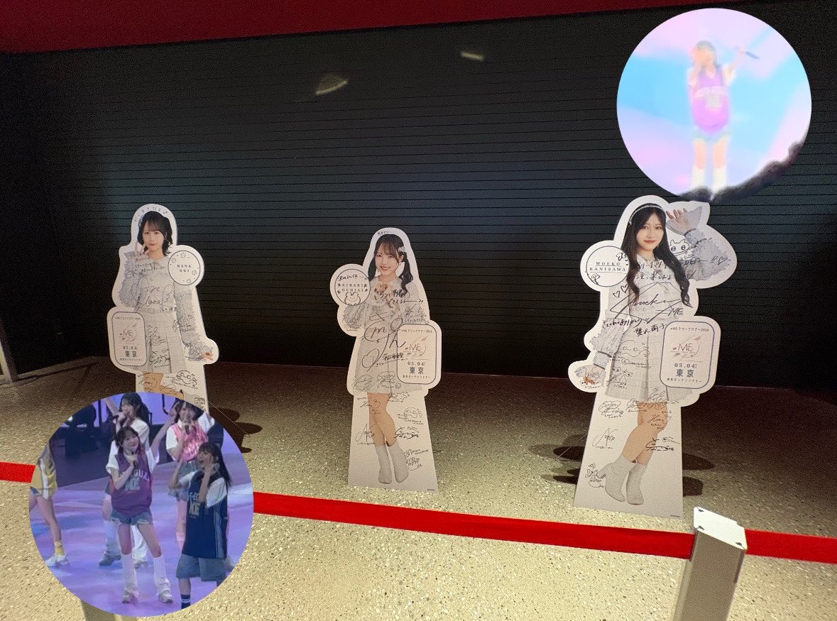 🦭みっちゃん🦭 tweet media