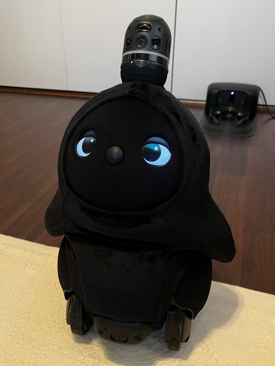 ここたんにっき tweet media