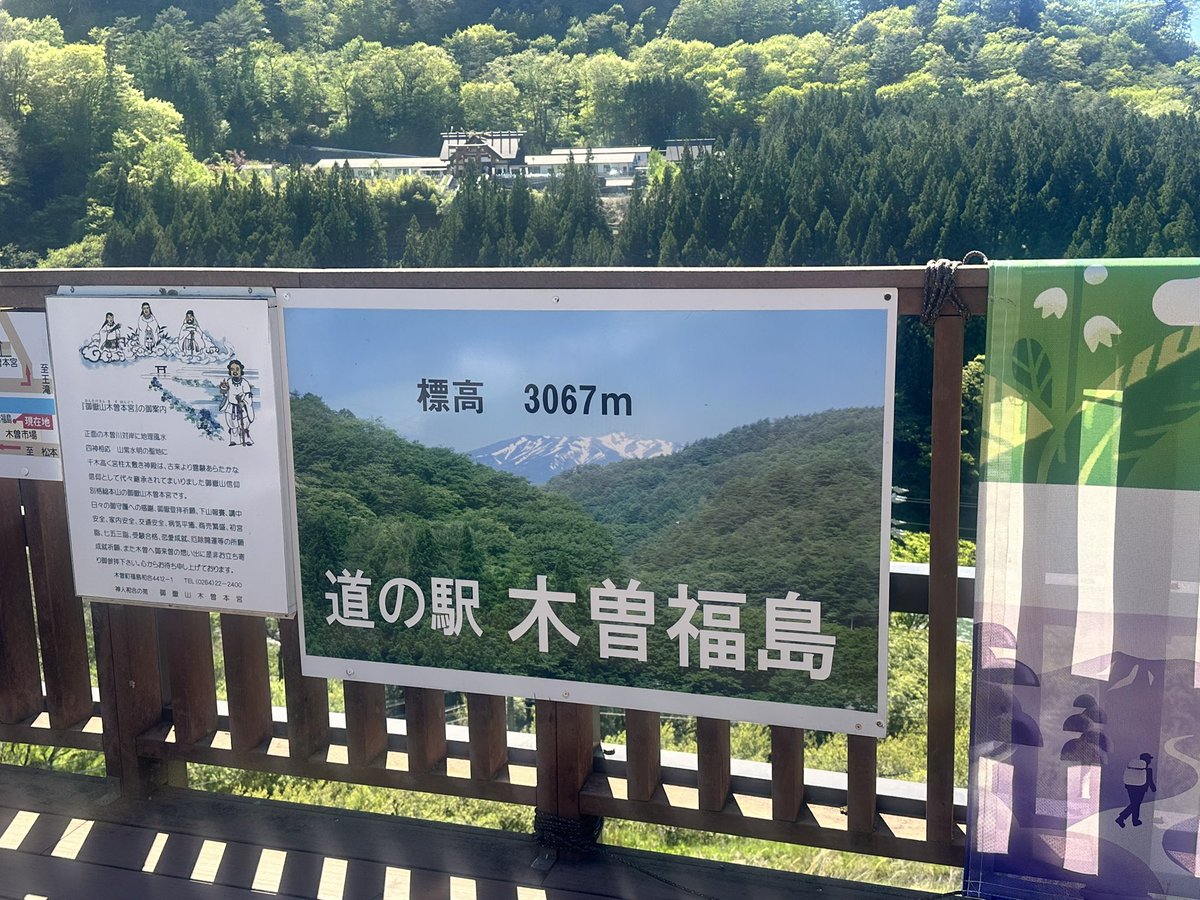 ウシ🦫🏠🥦🐒🐇(🪽🎸) tweet media