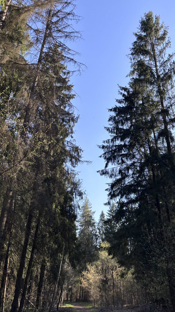 Загородный Дневник tweet media