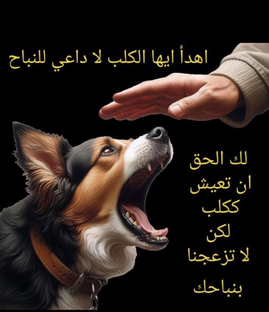 🇰🇼Ghanim tweet media