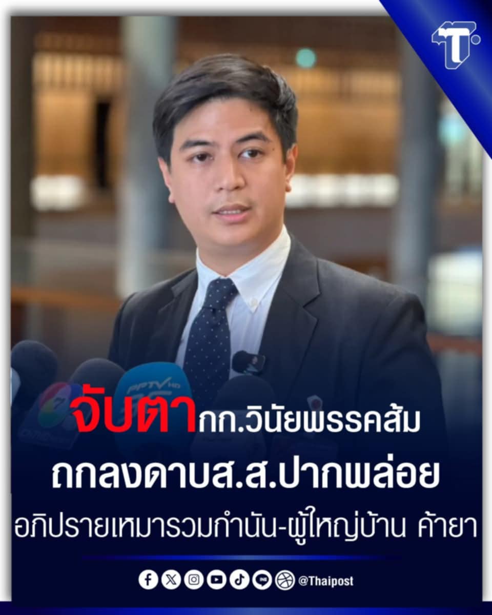 BOyyCha tweet media