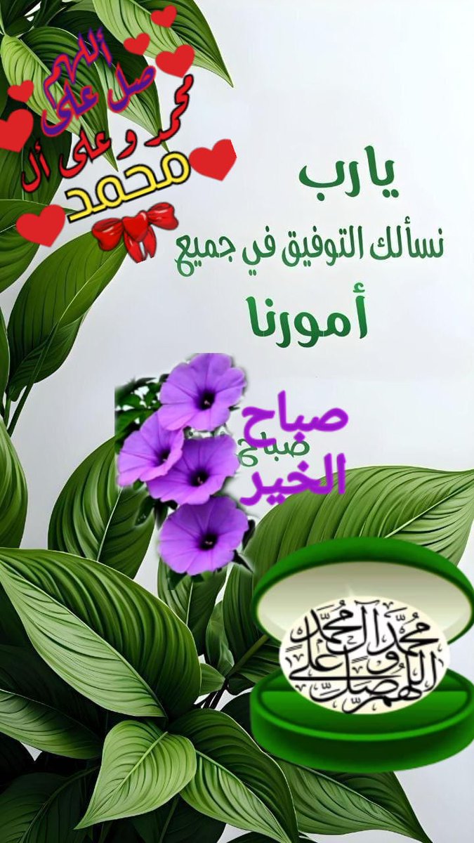 طيب المحمداويه !!!! tweet media