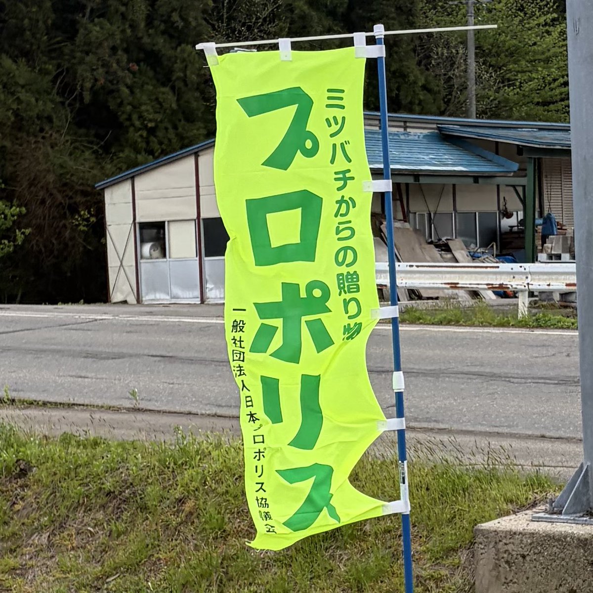 塩 ˊ˗ tweet media