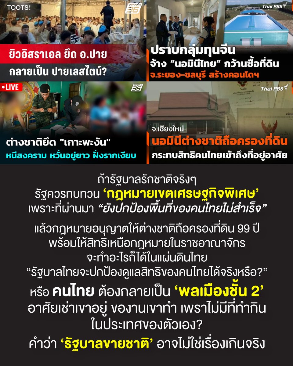 TOOTSYREVIEW tweet media