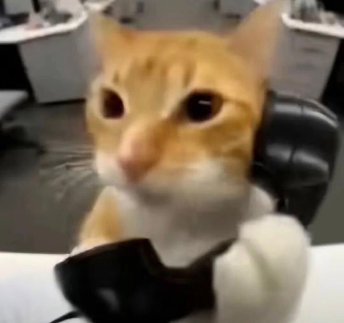 7PU's tweet photo. "Hi, IT? Yeah, I blindly ran the commands claude told me to run on prod again" https://t.co/KWFDwVWdl3