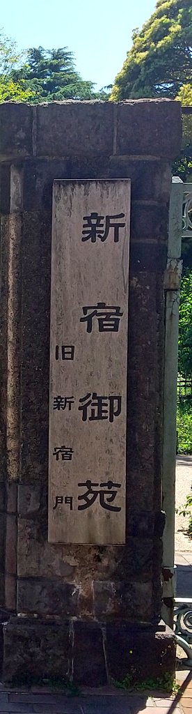 mori_tuyoshi's tweet photo. 今日も天気が良いです
新宿御苑でのんびりすごしました
木陰に入る涼し風が吹いて、
気持ちいい https://t.co/l5M0cql3cH